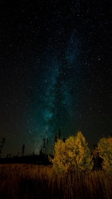 Carl Sagan quote on the stars