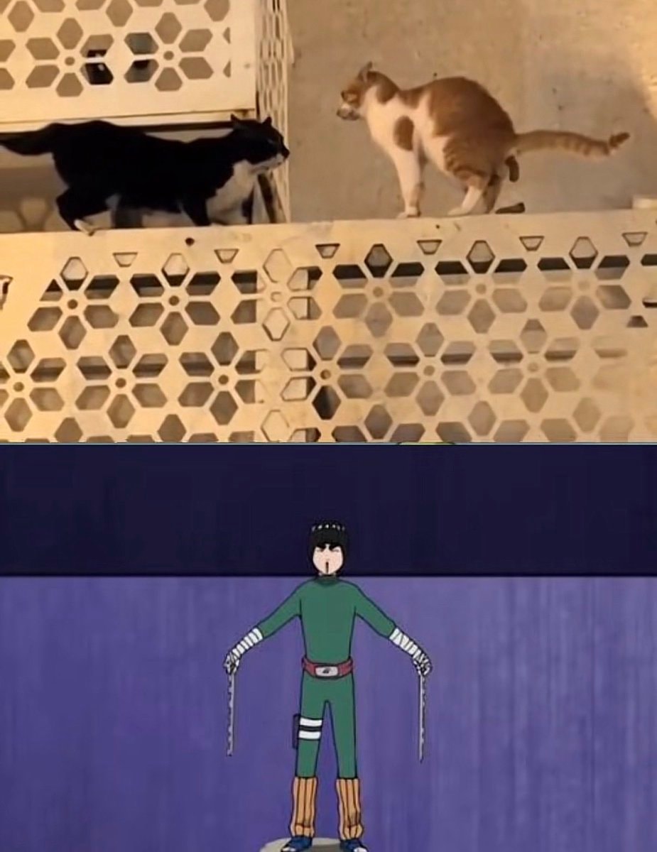 Rock Lee Naruto meme