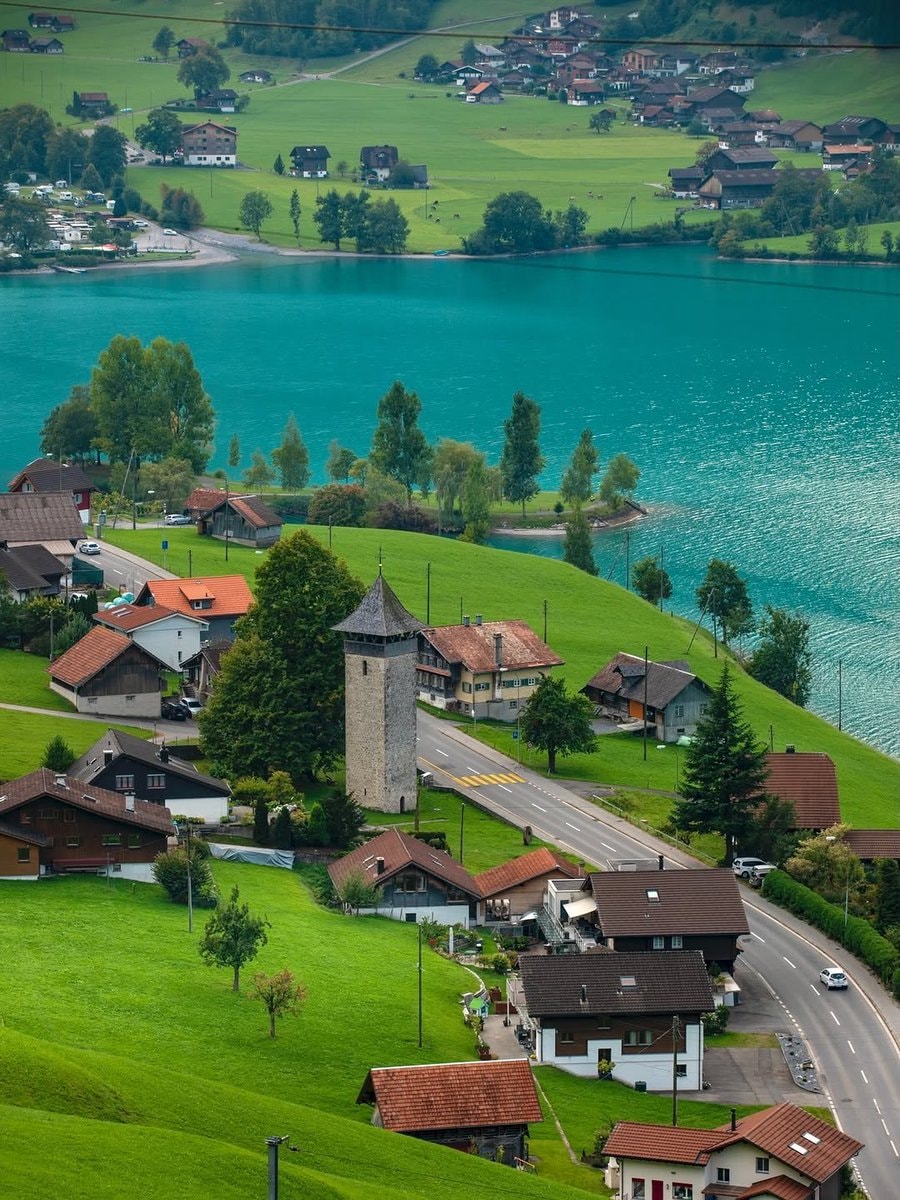 Switzerland goats and snowy peaks (photo 3 of 4)