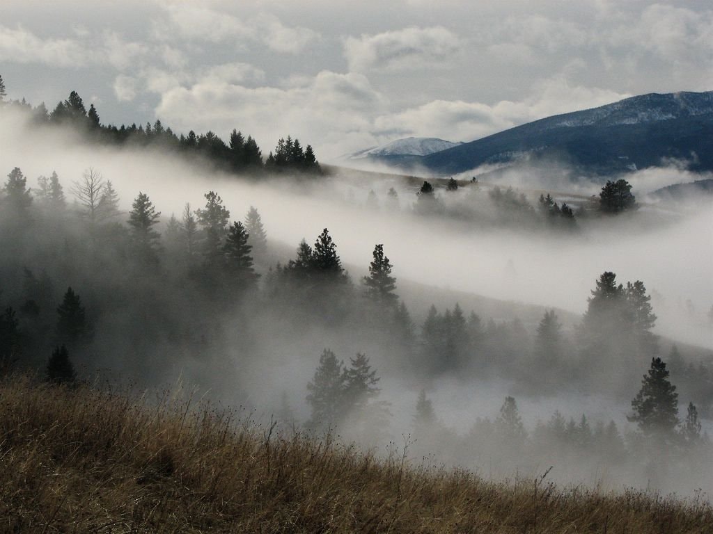 Sentient fog discovery