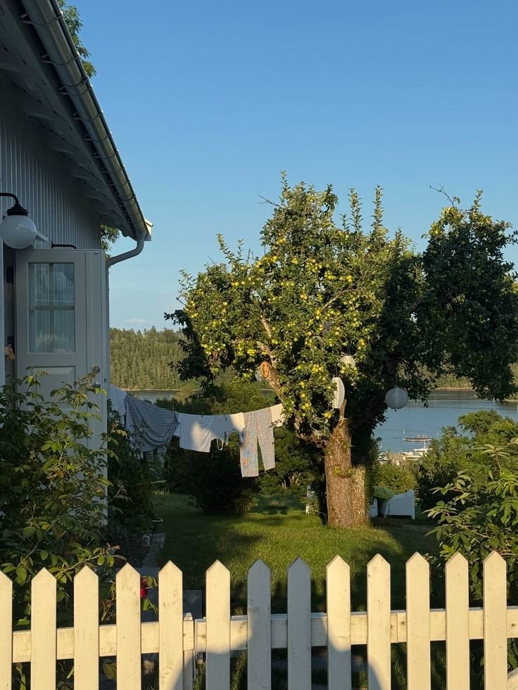 Country House Blue Roof Dog Mountains (photo 2 of 4)