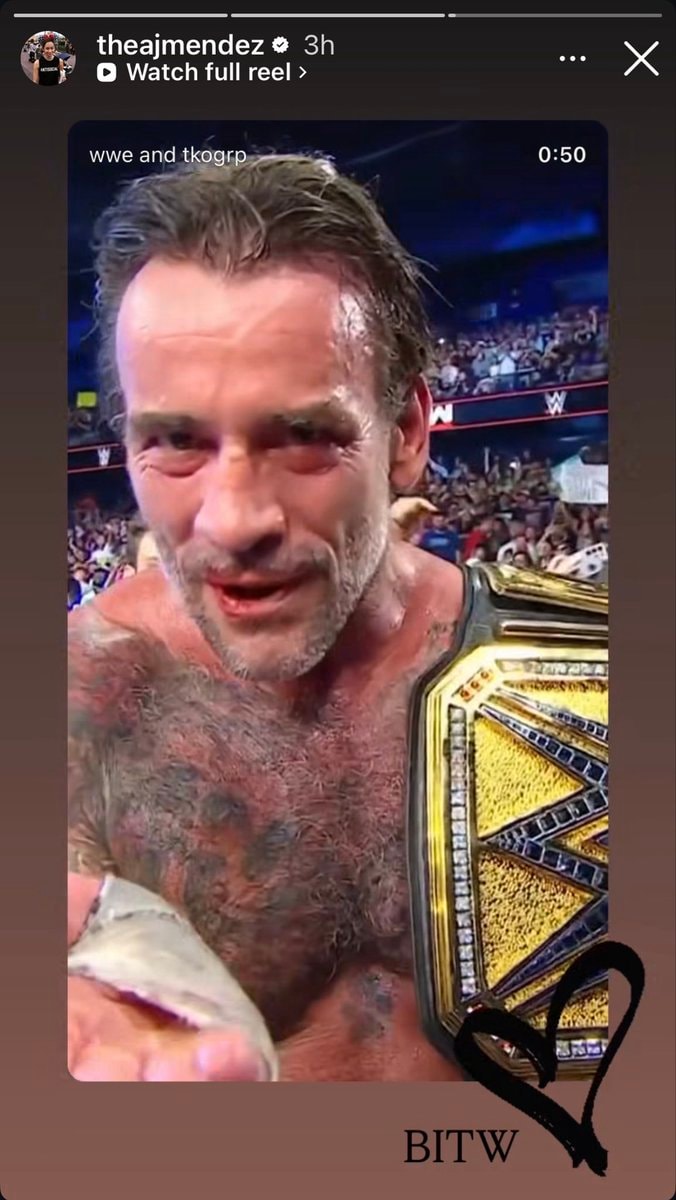 AJ Lee CM Punk title win