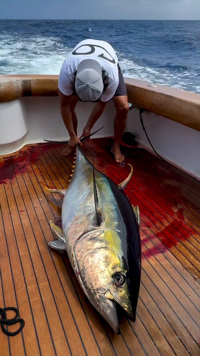 Bad Company world tour 2026 Leg 15 Cape Verde