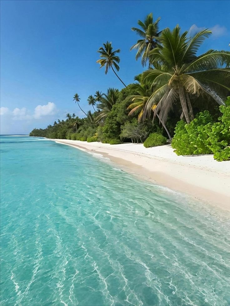 Classical Maldives beach