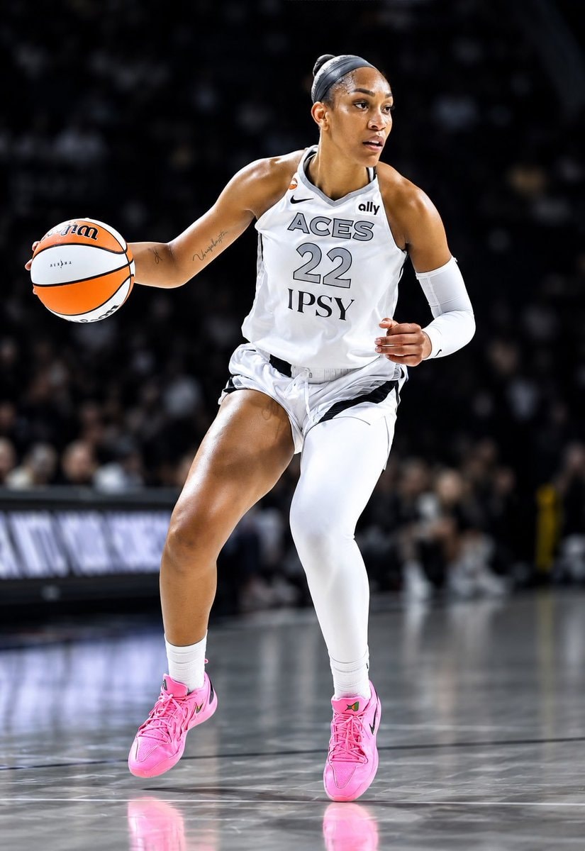 WNBA ACES IPSY ally