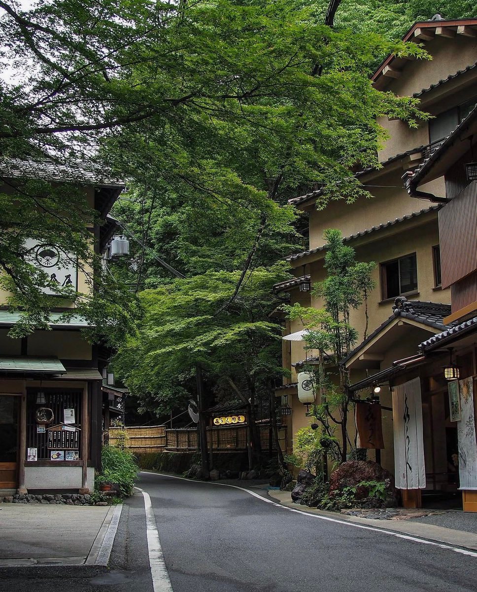 Kyoto street scene tomokotoamu (photo 4 of 4)