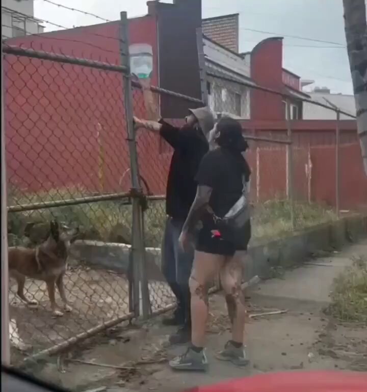 folks keeping humanity intact