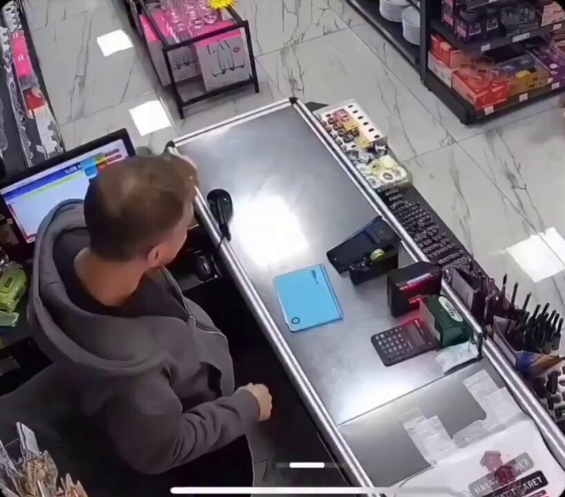 stray cat daily shop hugs