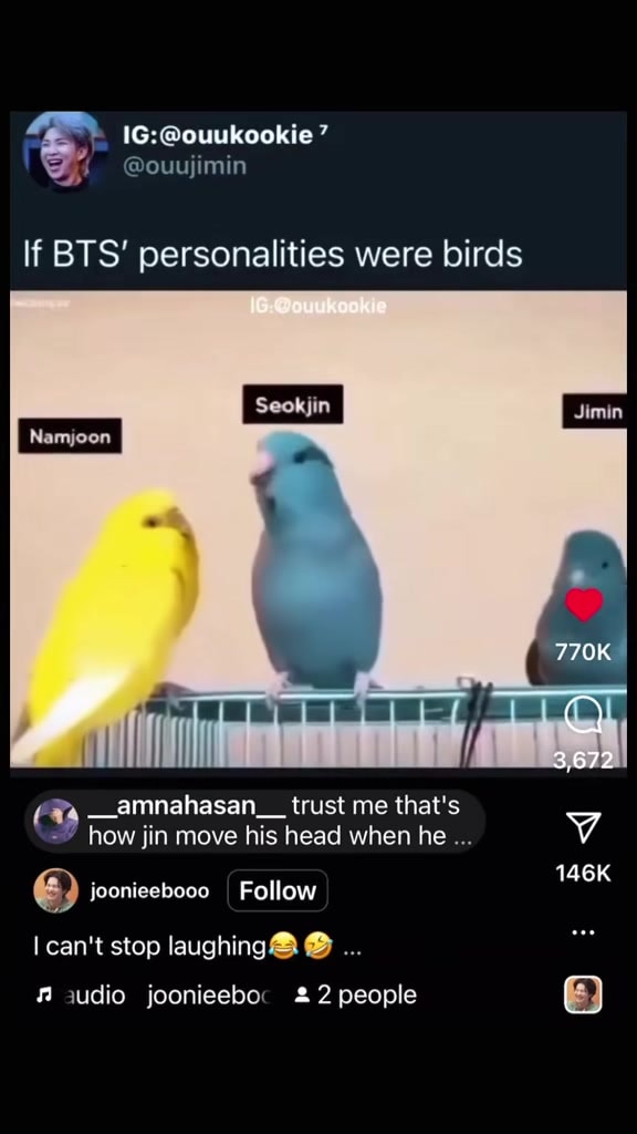 BTS member birds