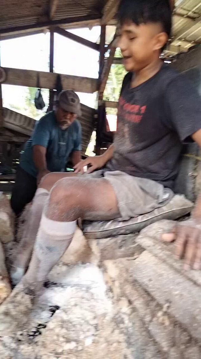 Sago palm processing