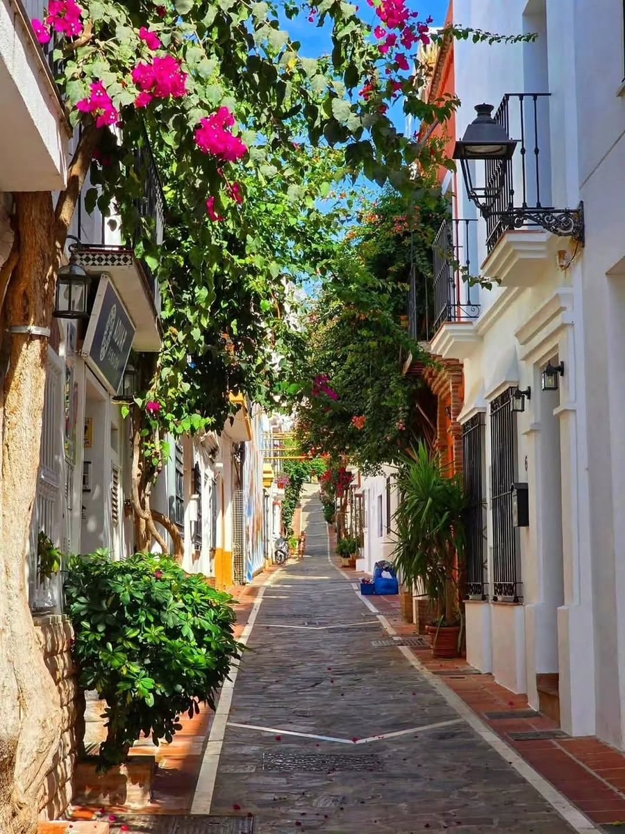 Malaga Spain 🇪🇸 (photo 2 of 4)