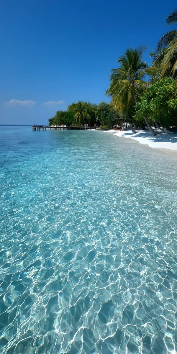 Maldives beach scene (photo 4 of 4)