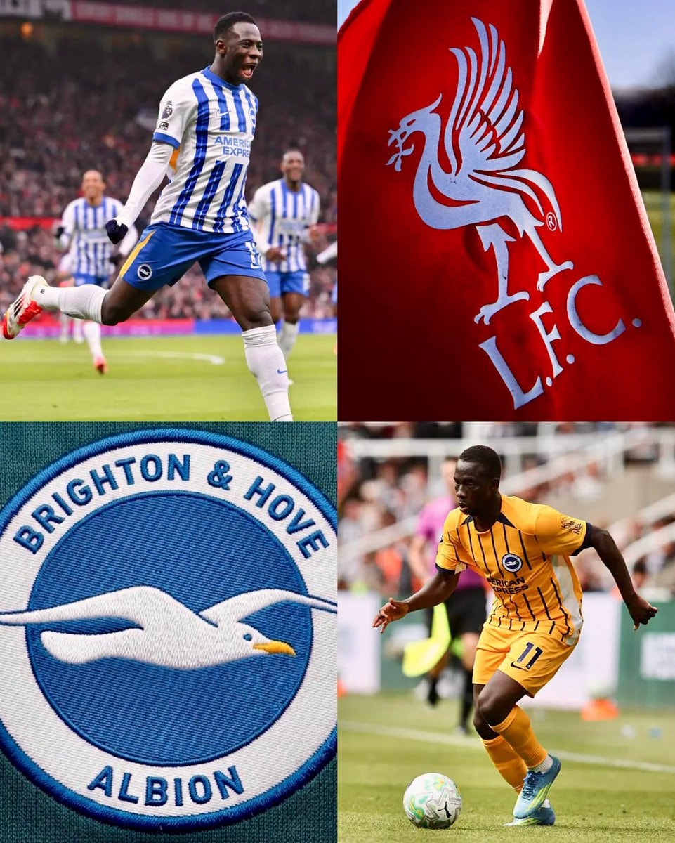 Yankuba Minteh transfer valuation debate
