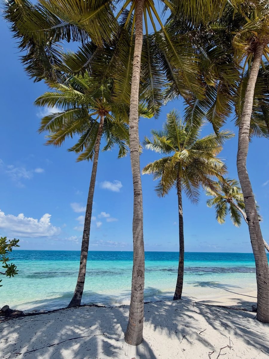 Maldives (photo 2 of 2)