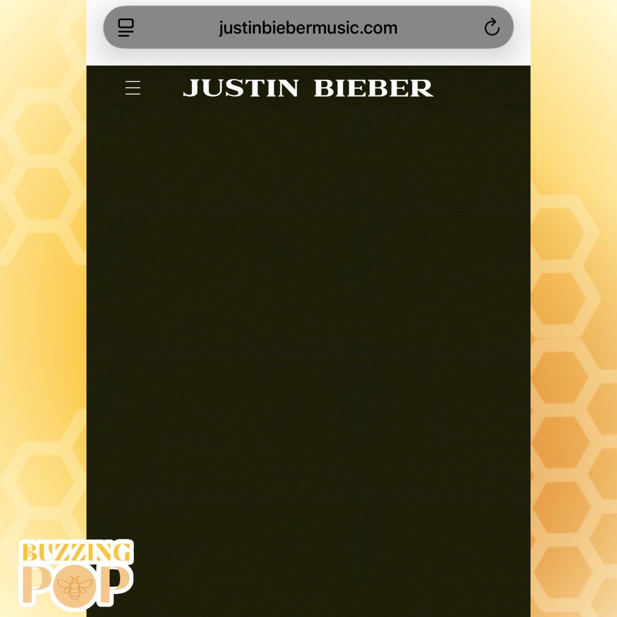 Justin Bieber tour page (photo 2 of 2)