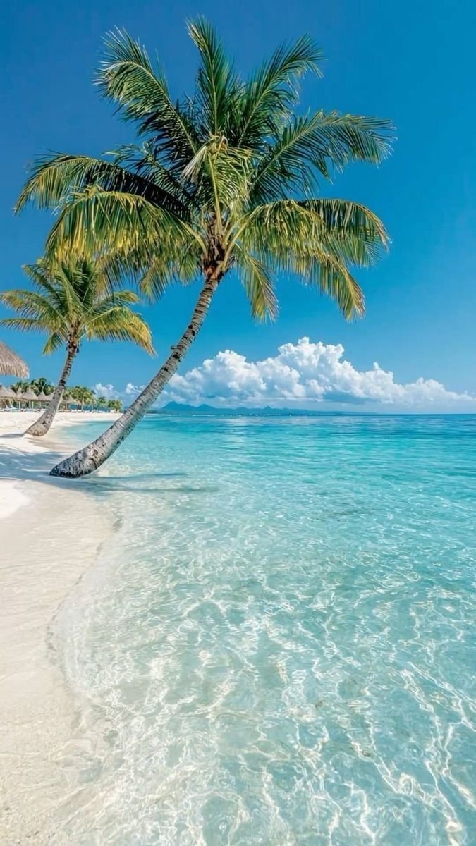 Maldives beach scene