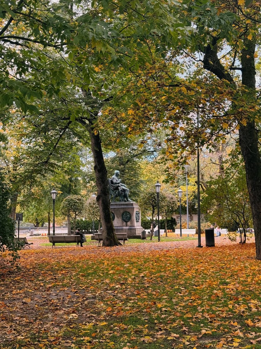 Autumn in Finland park (photo 3 of 4)
