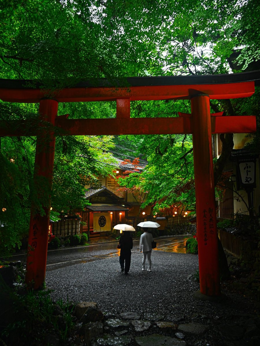 Kyoto Japan autumn foliage (photo 2 of 4)