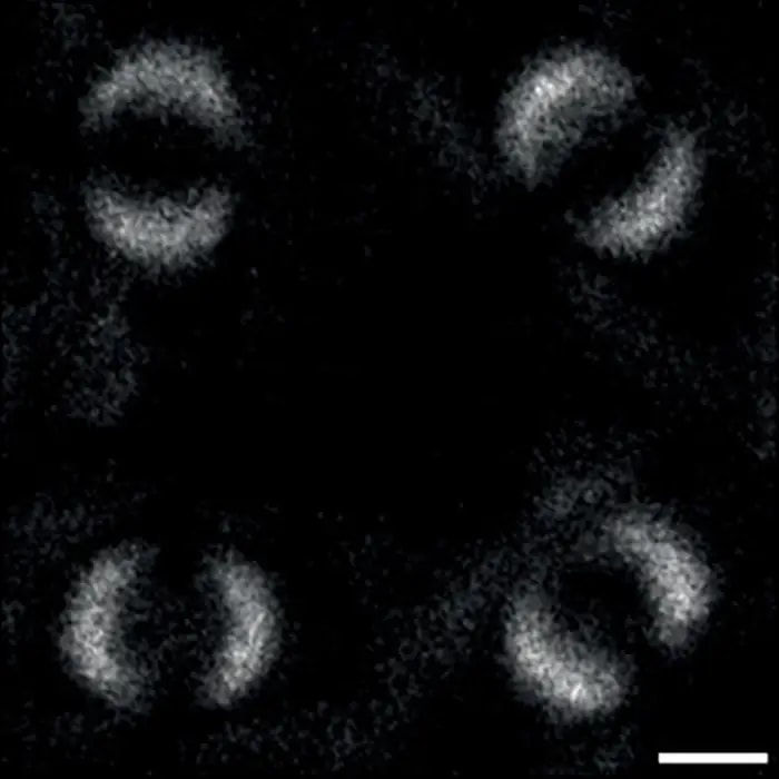 first Quantum Entanglement image