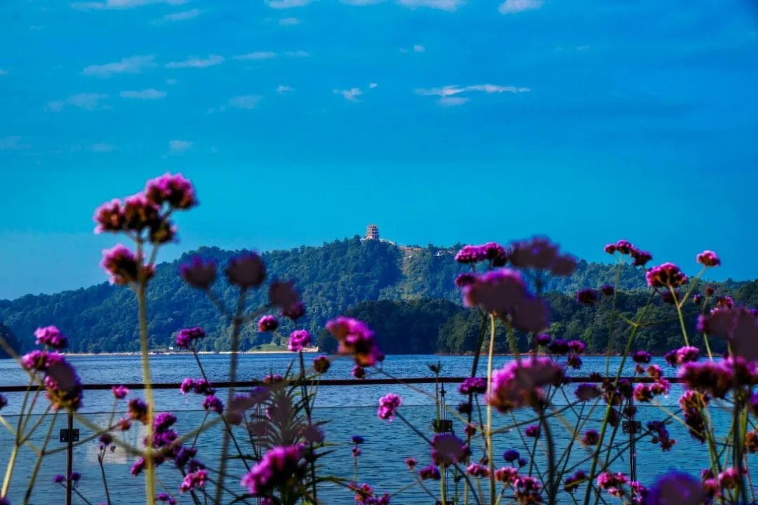 Jiangxi lakes and mountains (photo 3 of 4)