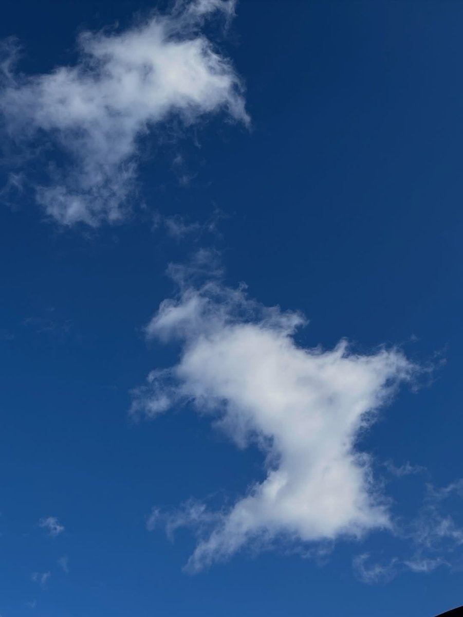 Snoopy Cloud Moment ☁️ (photo 2 of 2)