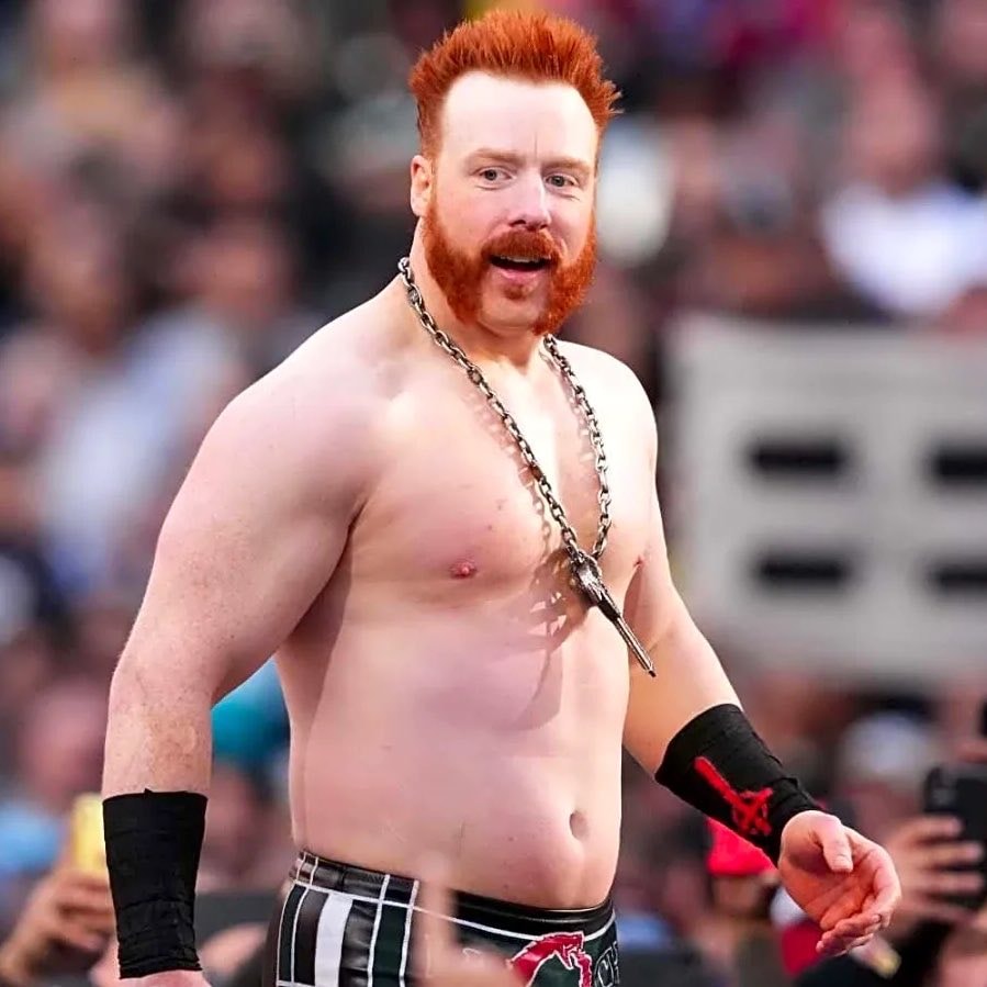 Sheamus WWE career Intercontinental Title (photo 1 of 2)