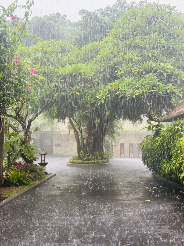 rainy street (photo 2 of 2)