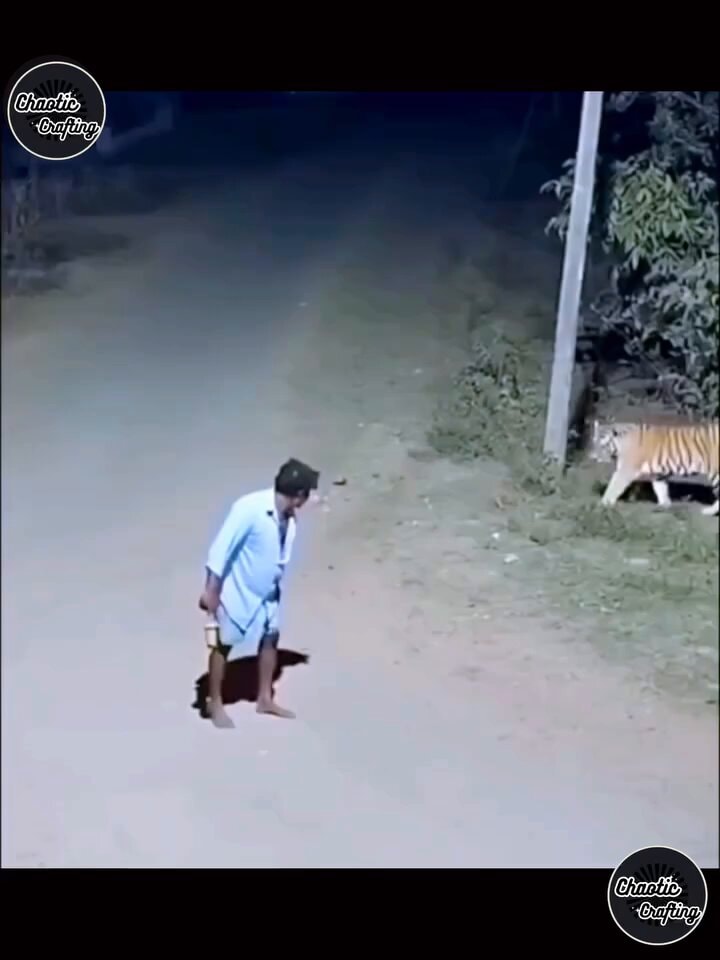 Caught on Camera Moment