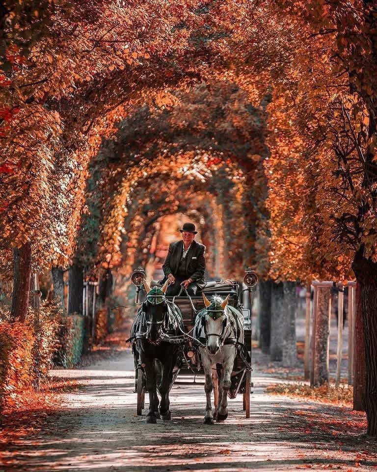 Vienna Austria autumn