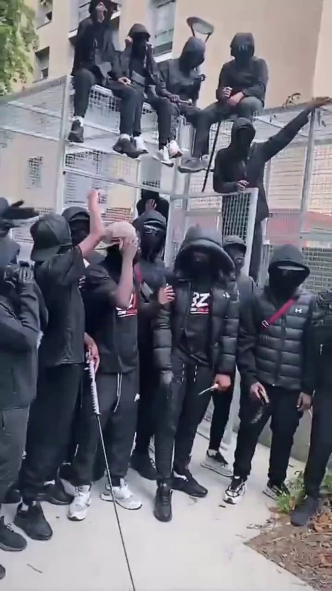 Paris chaos cultural displacement claim