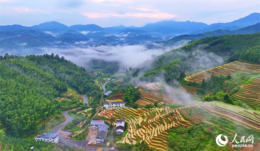 Shangbao Terraced Fields Jiangxi summer (photo 4 of 4)