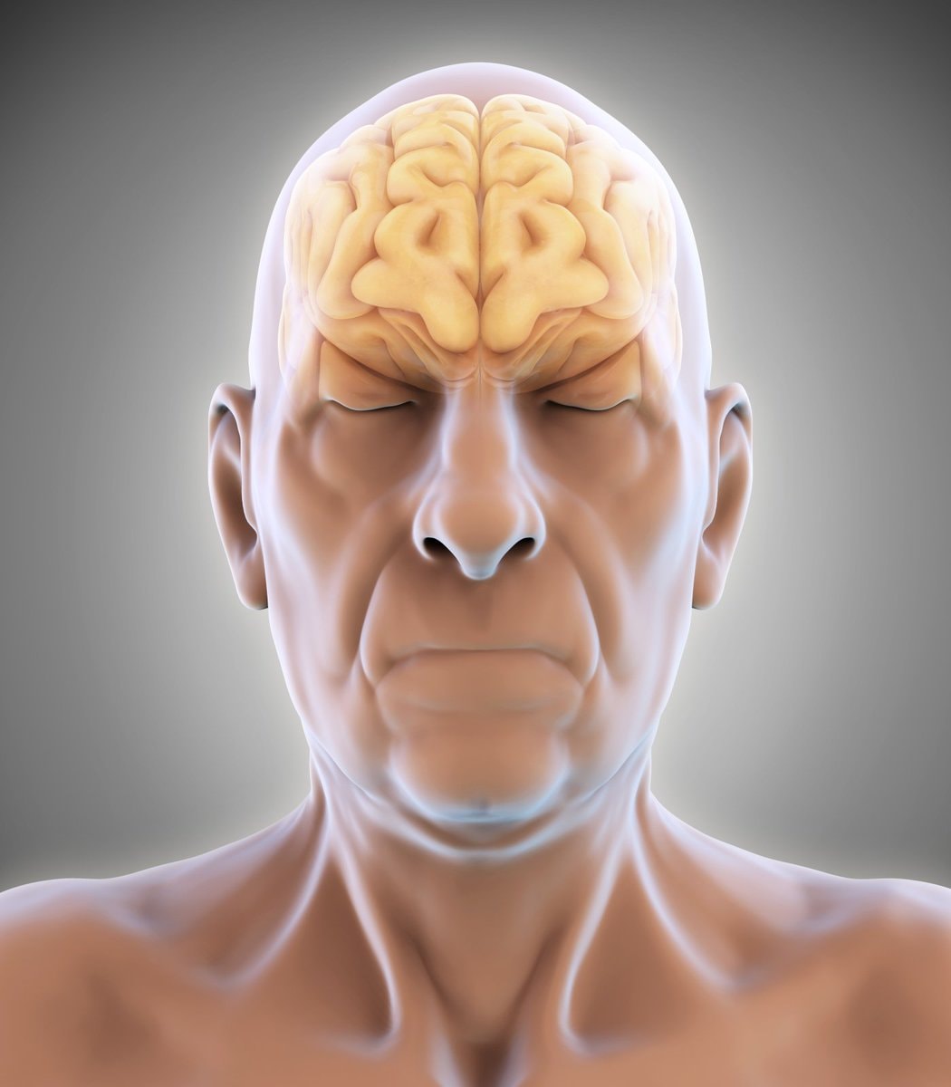 Nut consumption reduces dementia risk (photo 1 of 2)