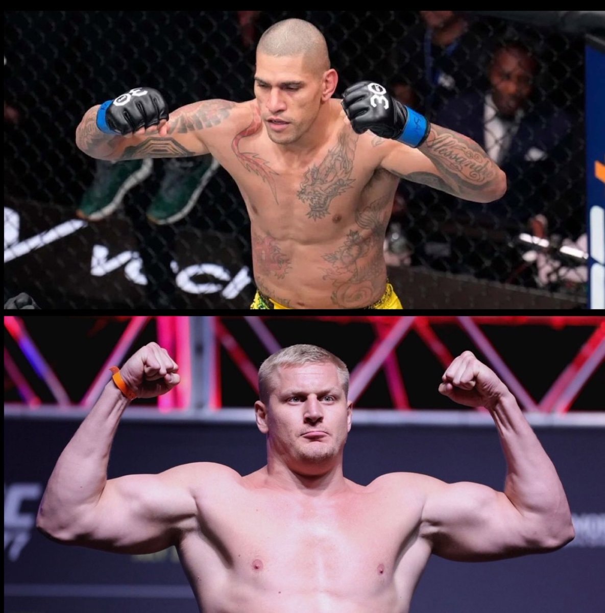UFC335 main and co-main (photo 2 of 2)
