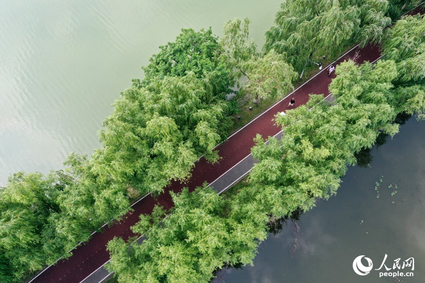 Aixi Lake Wetland Park early summer (photo 2 of 4)