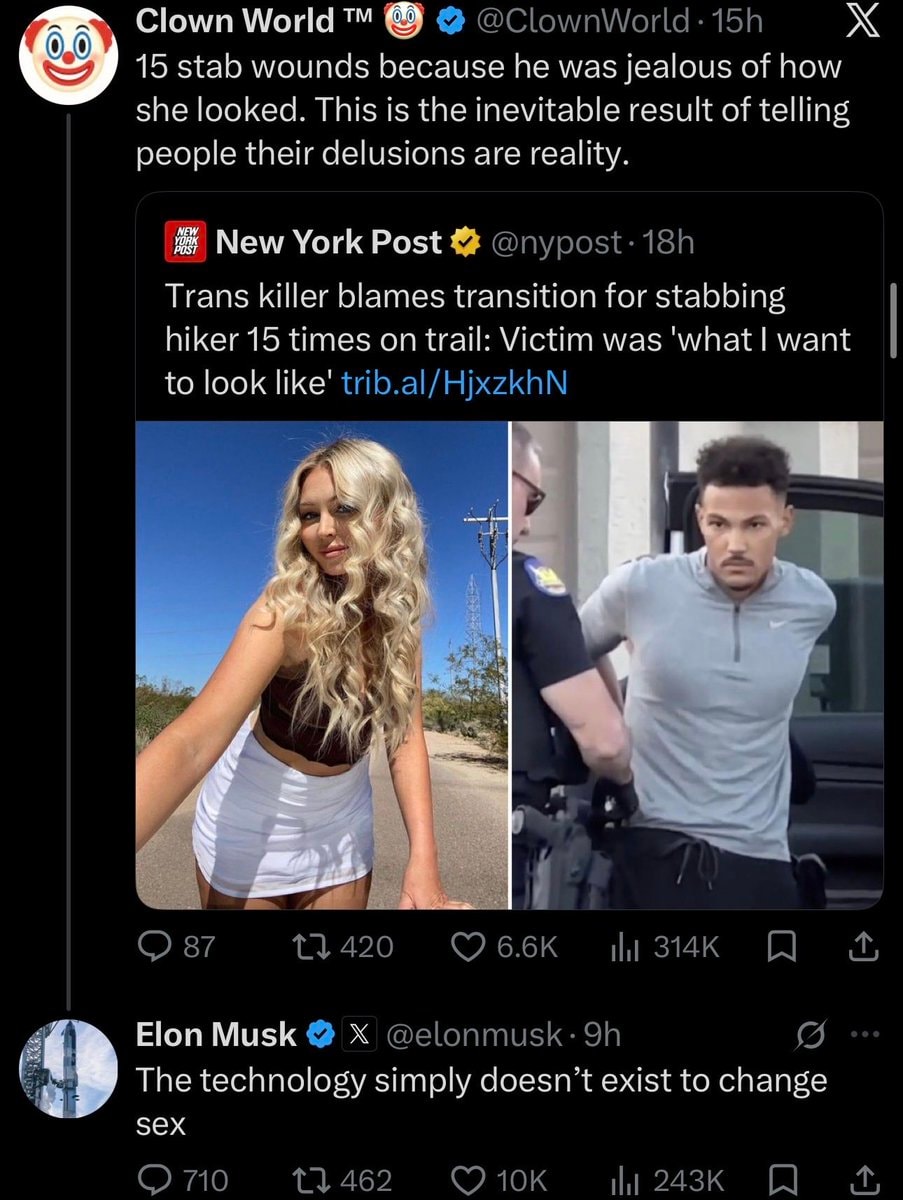 Elon Musk on trans community violence (photo 3 of 4)