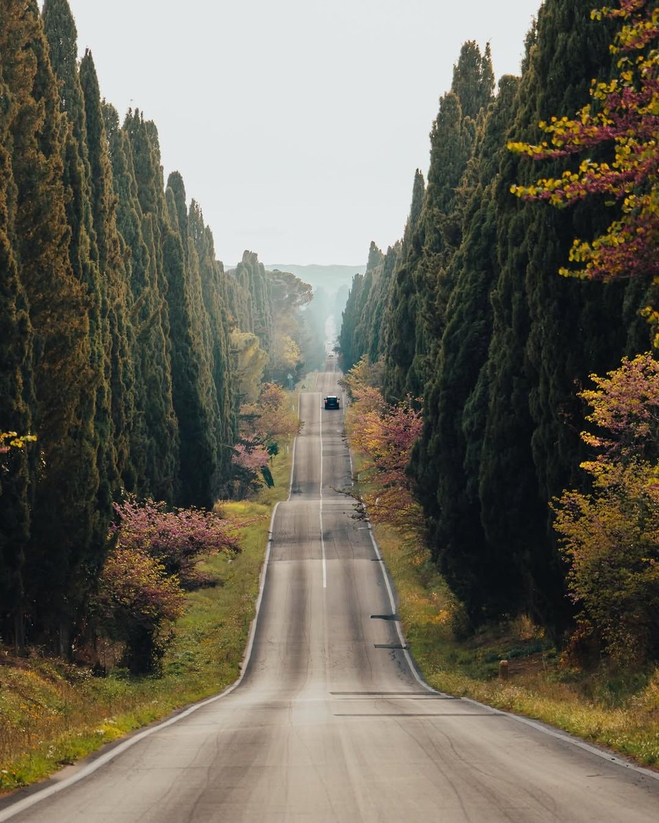 Toscana Italy Scenic Drive 🇮🇹 (photo 3 of 4)