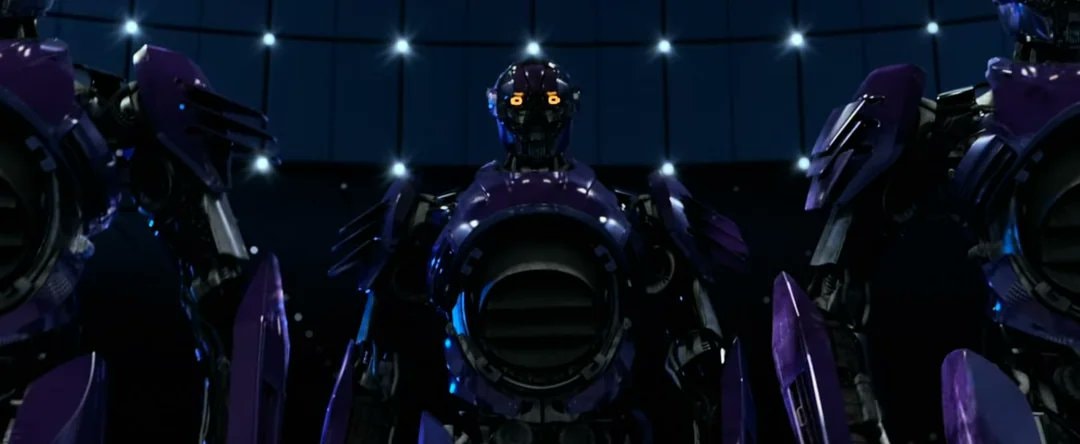 Sentinel design preference