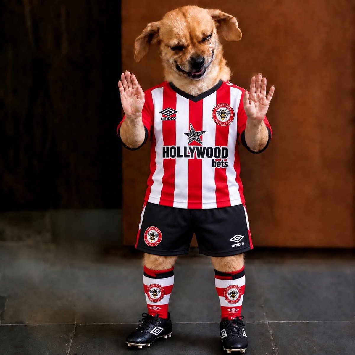 Brentford vs Chelsea prediction