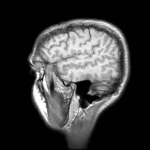 13 subjects to expand your mind