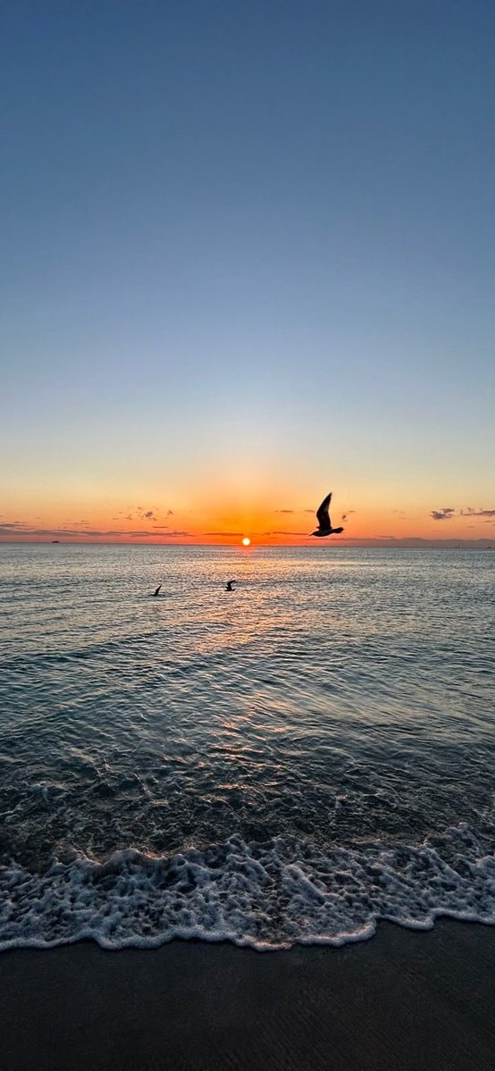scenic landscape sunrise (photo 2 of 4)