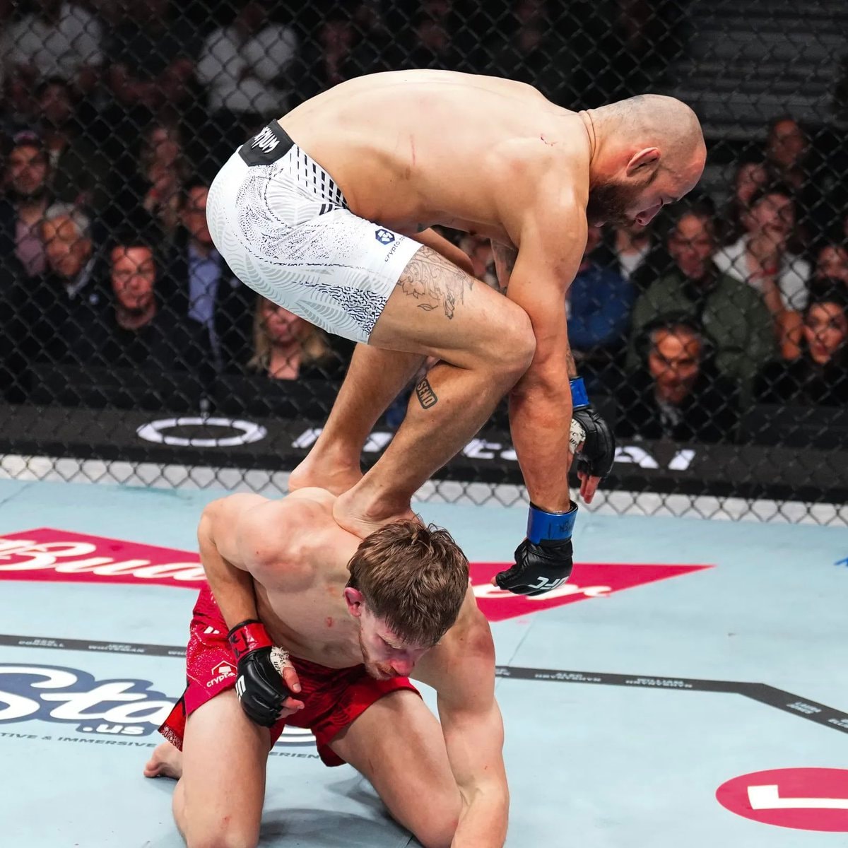 Jean Silva vs Jose Delgado Noche UFC (photo 4 of 4)