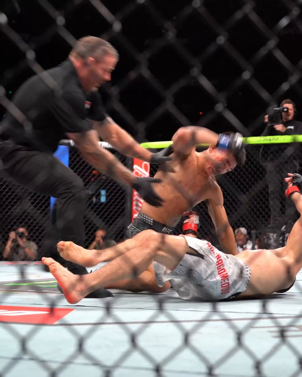 MMA fight absolute cinema