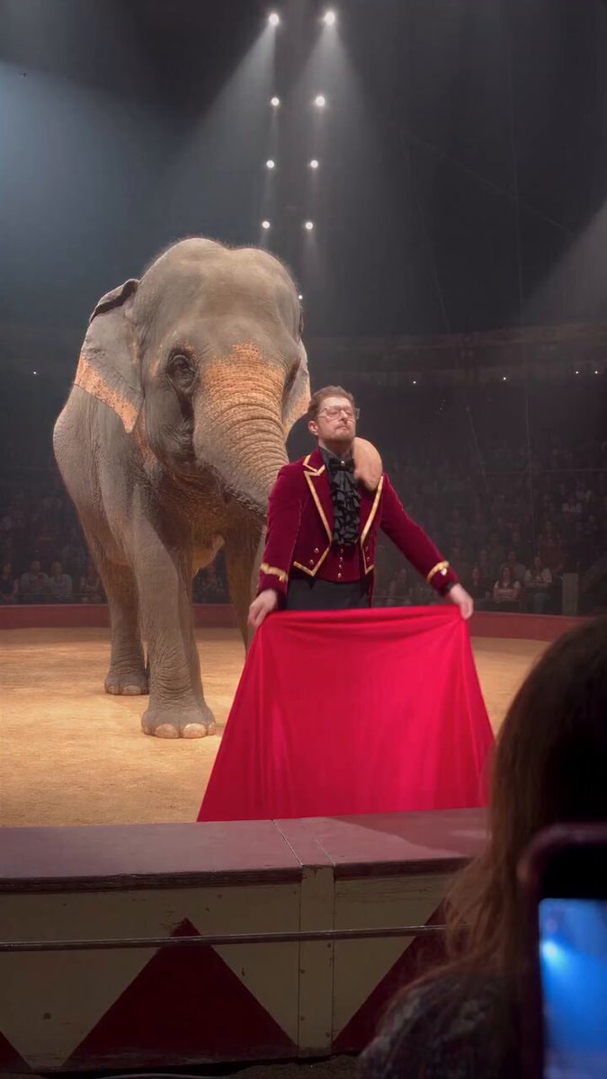 AI Circus Elephant Magic Tricks