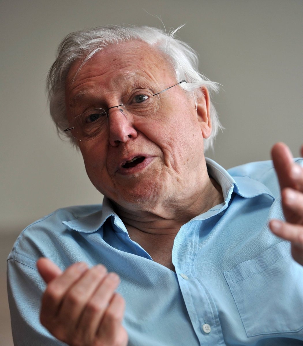 Blue Planet III David Attenborough (photo 2 of 2)