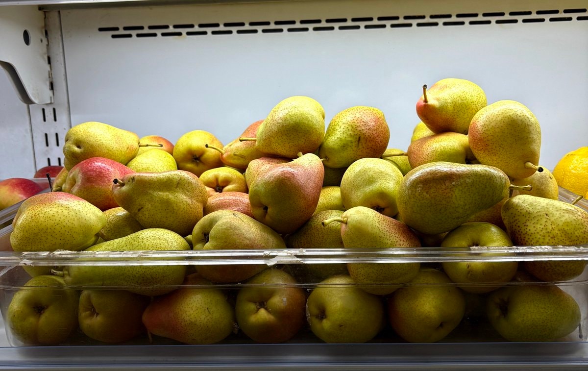 pear pile opinion