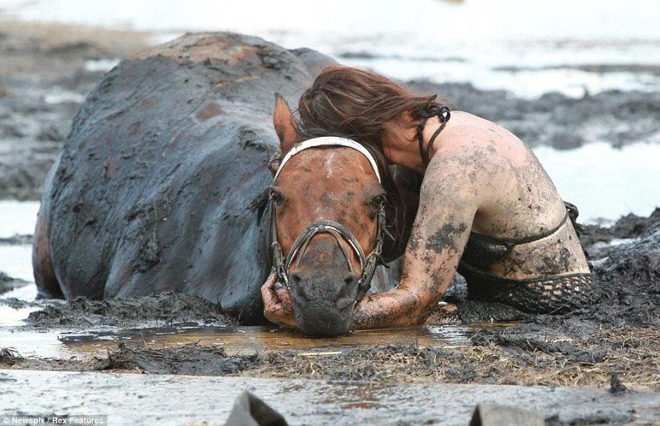 Nicole Graham saves horse Astro from mud (photo 2 of 4)