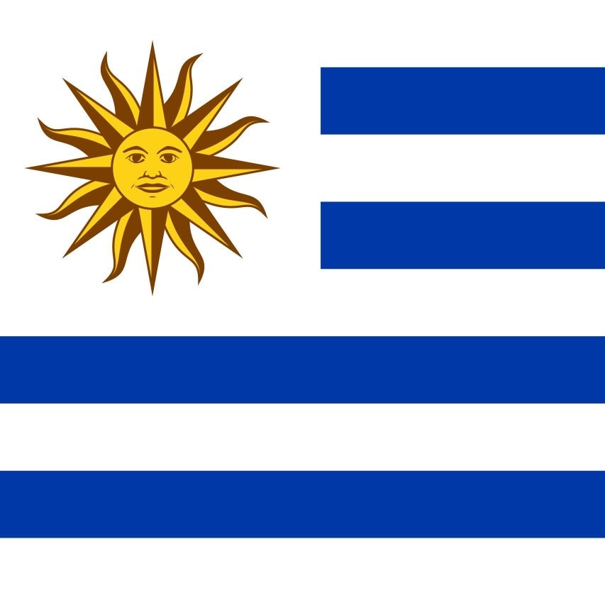 Saudi Arabia Uruguay World Cup draw (photo 2 of 2)