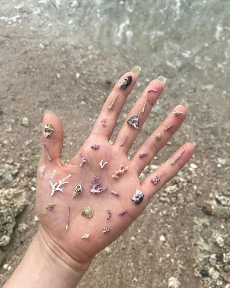 beach finds in hand