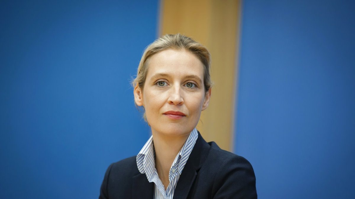 News AfD 29 percent Germany poll (photo 2 of 2)
