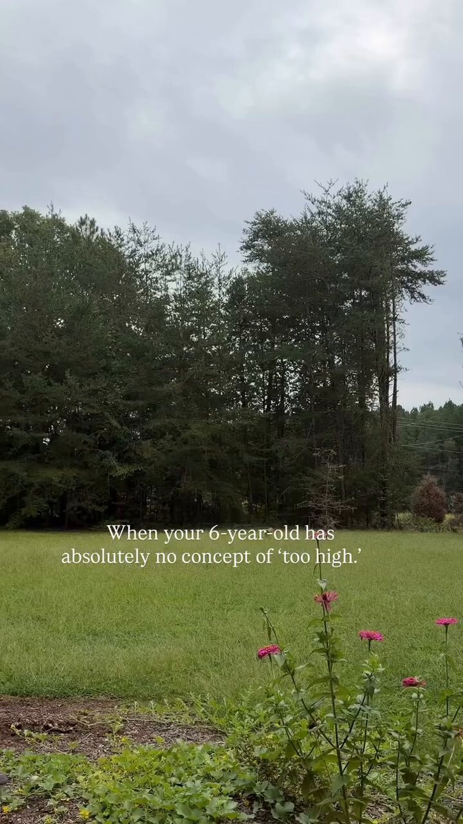 6-year-old climbing tree video